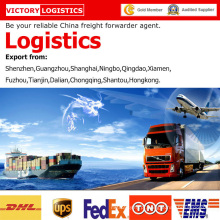 Agente de transporte/Forwarder/logística de mercadorias da China para logística em todo o mundo